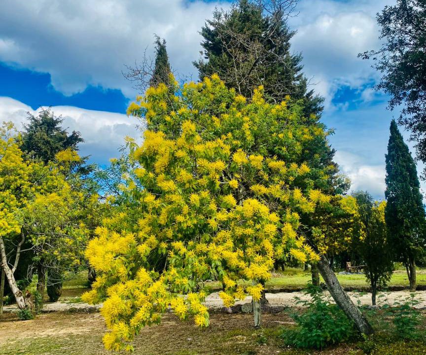 Photo of Outdoor in Darnius