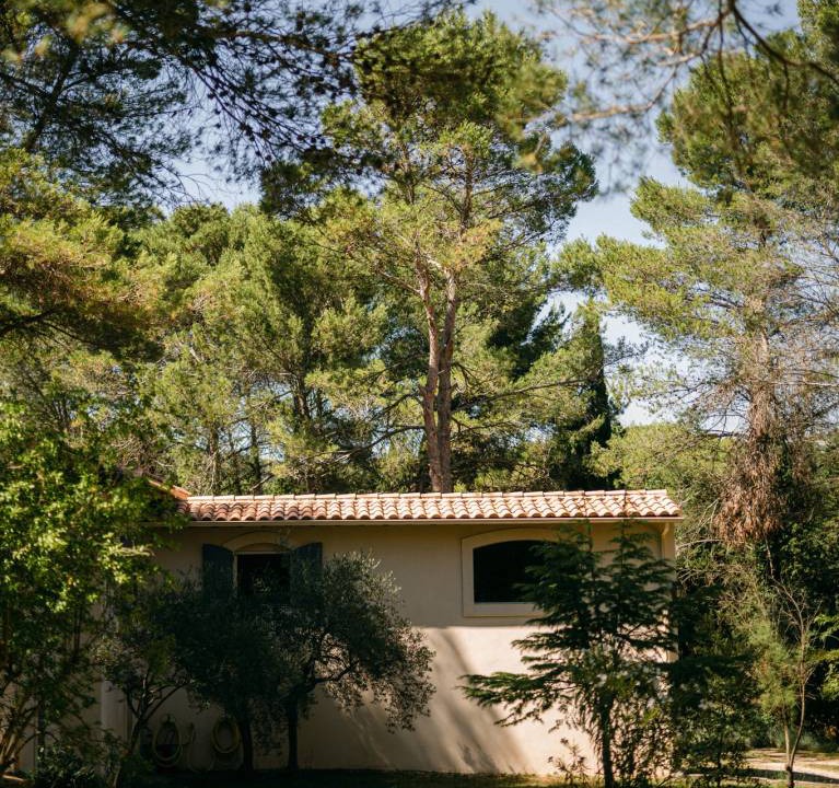 Photo of Others in Paradou