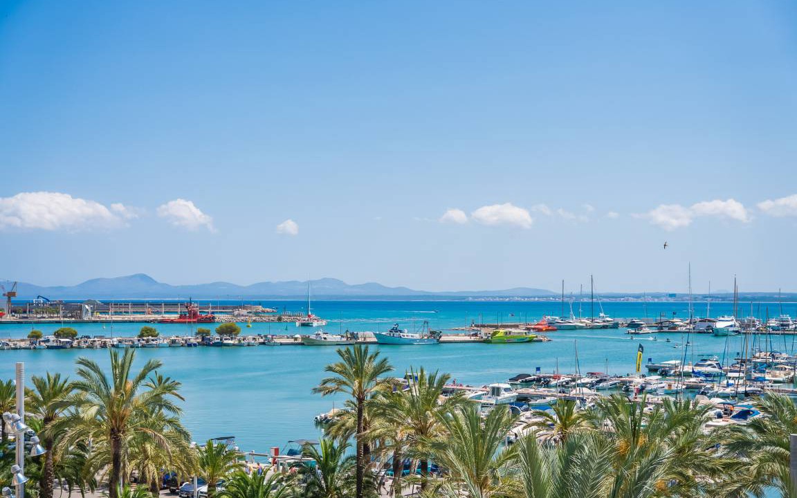 Photo of Others in Alcudia