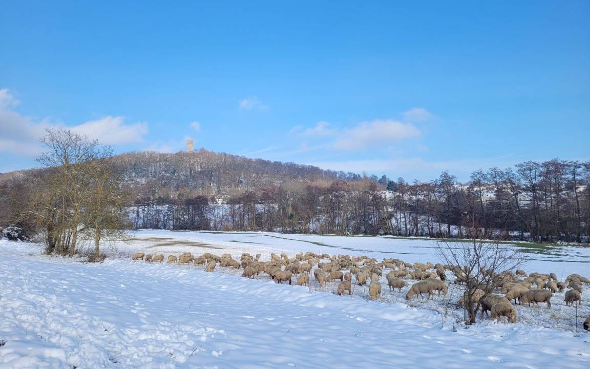 Photo of Others in Koenigstein im Taunus
