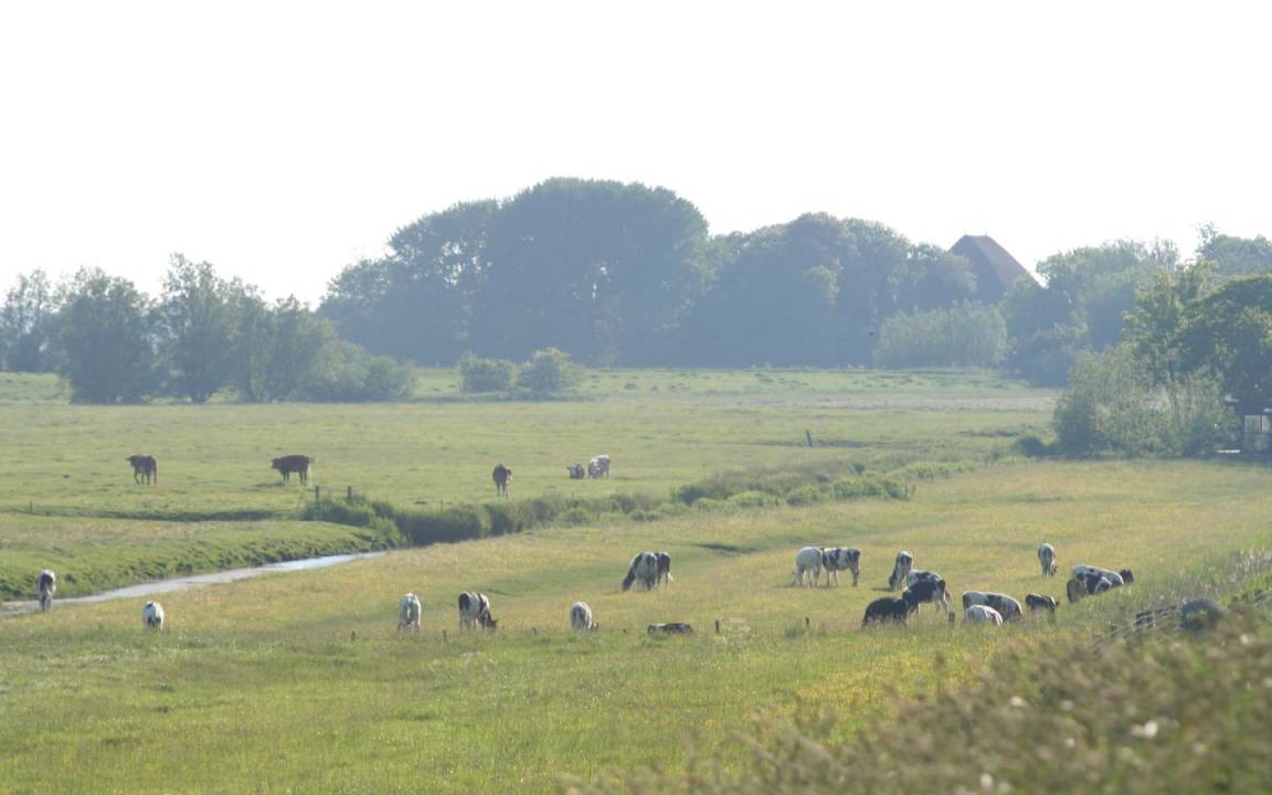 Photo of Others in Tetenbull