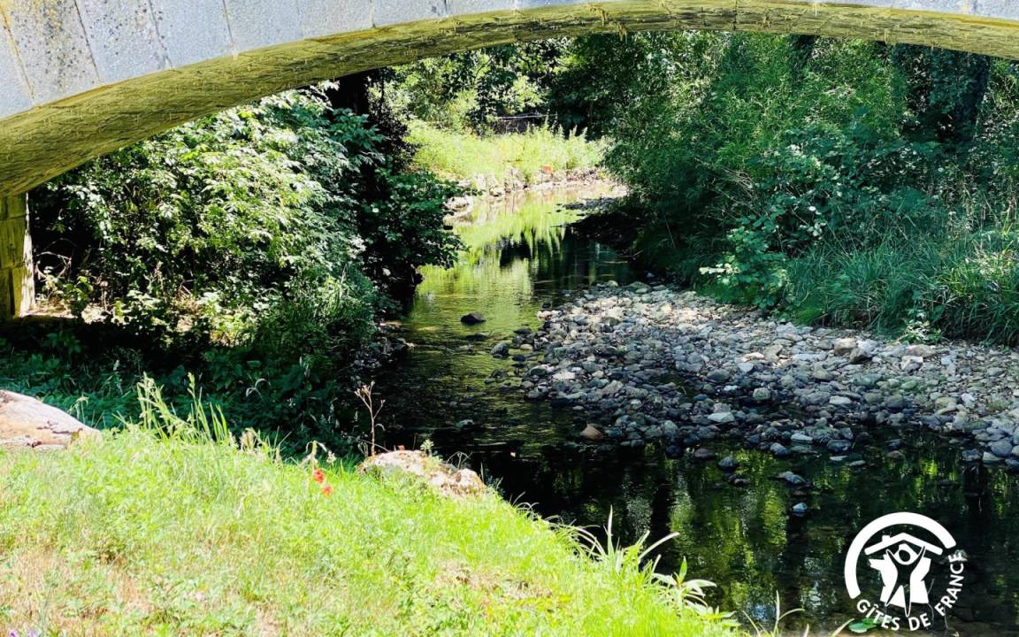 Photo of Others in Saint-Martin-le-Vieil