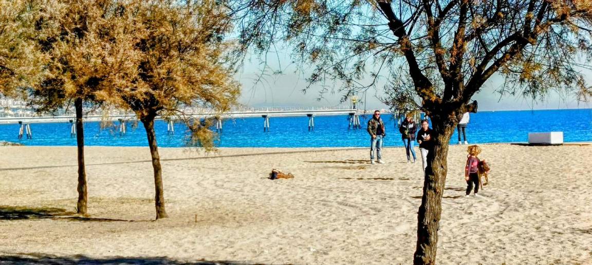 Photo of Others in Badalona