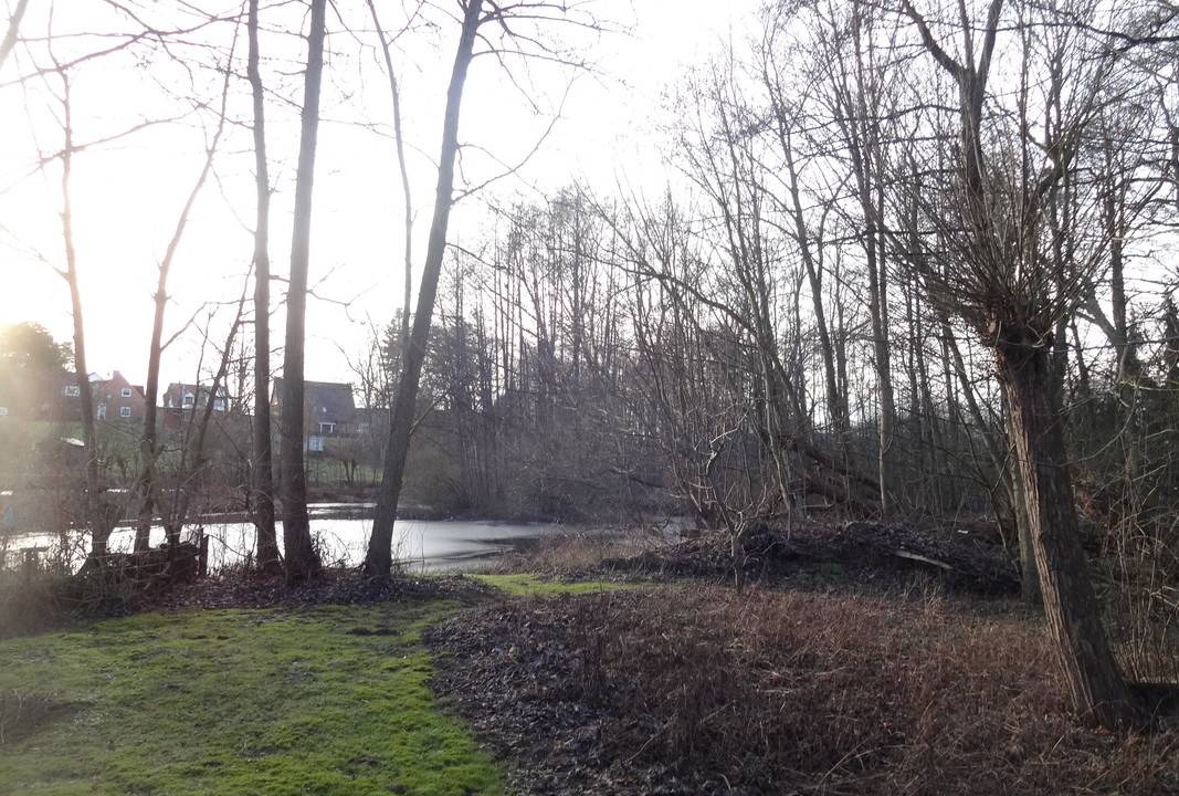 Photo of Others in Ahrensburg