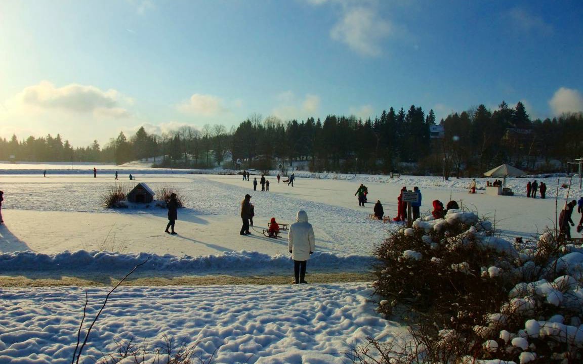 Photo of Others in Hahnenklee