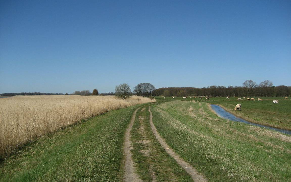 Photo of Others in Zinnowitz