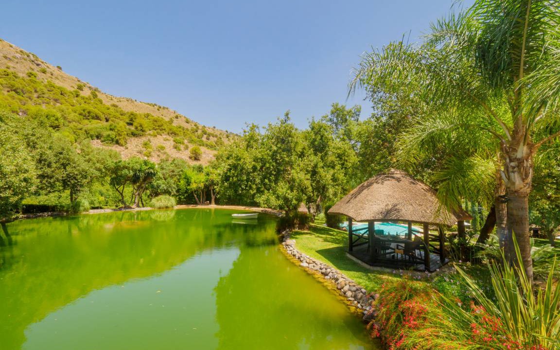 Photo of Outdoor in Coin