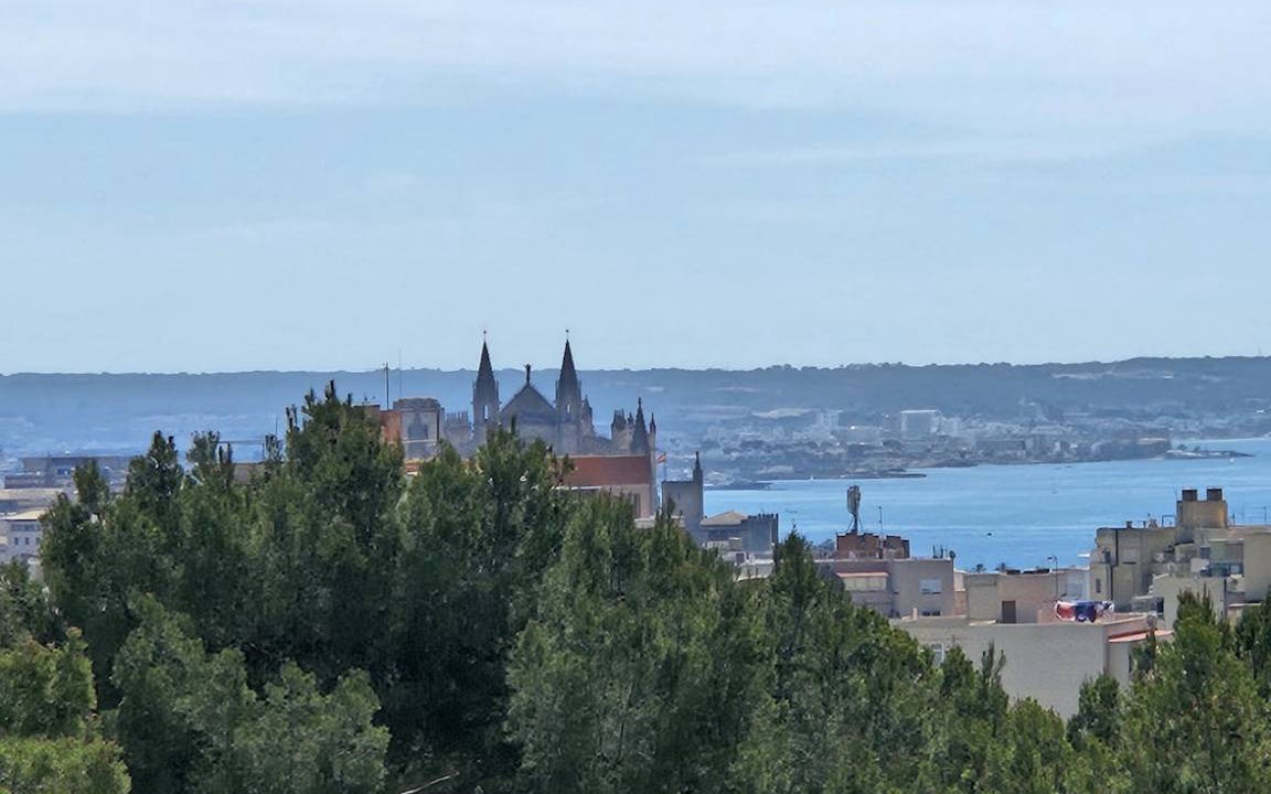Photo of Others in Son Dureta