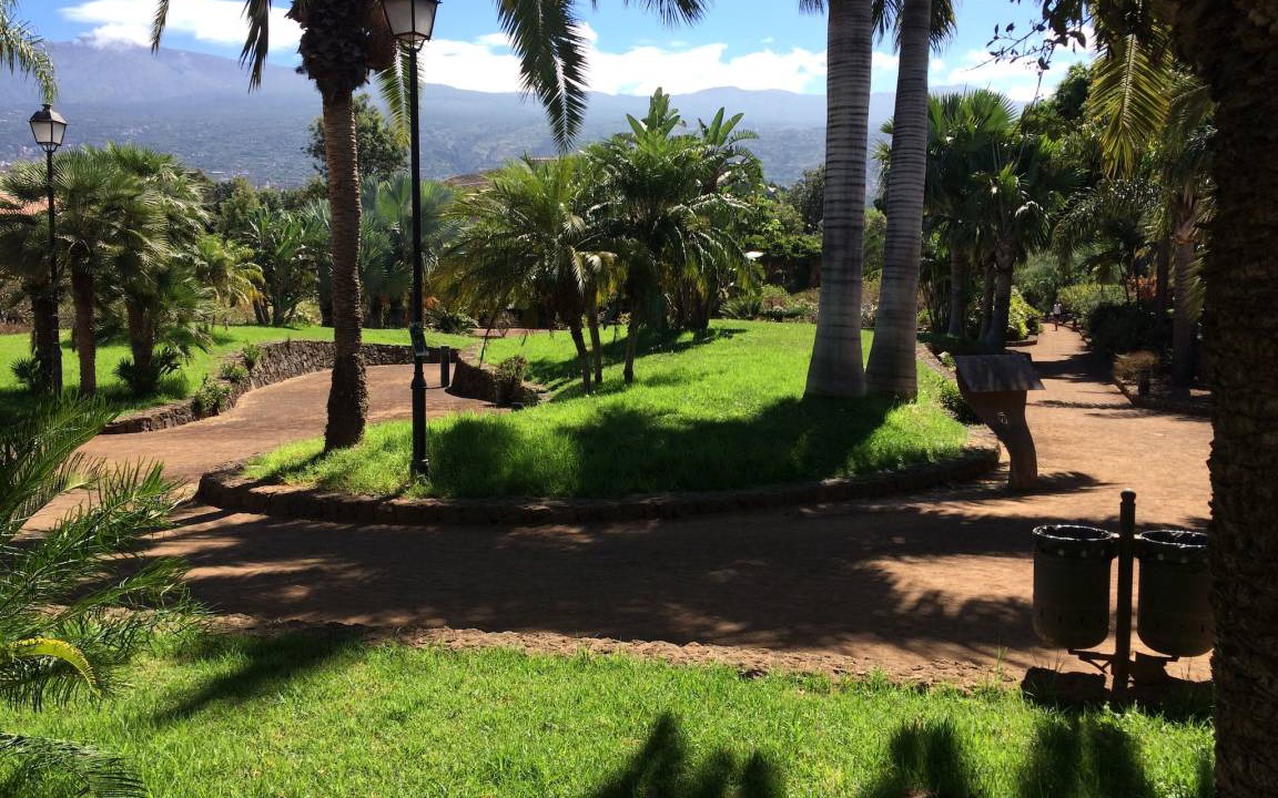 Photo of Others in Puerto de la Cruz