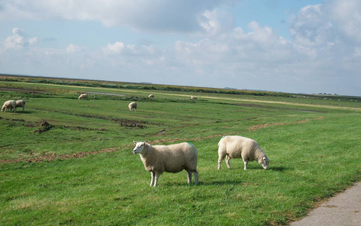 Photo of Others in Ockholm