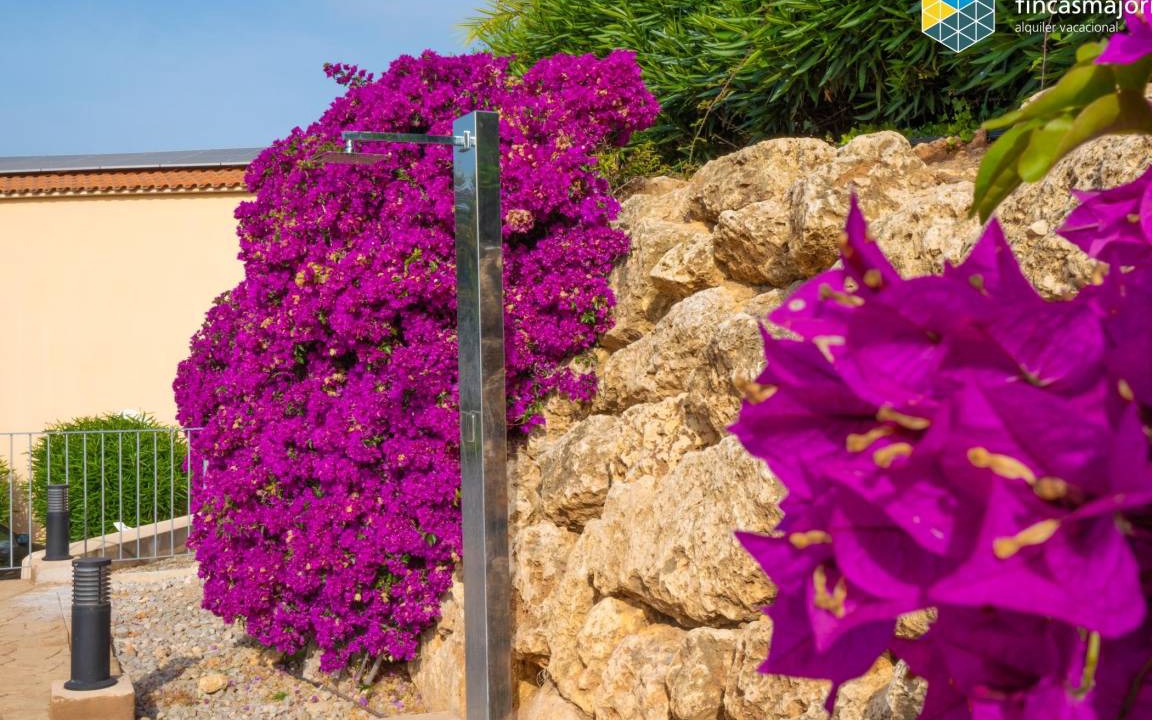 Photo of Others in Cala Romantica