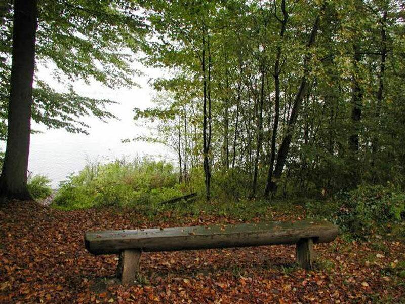 Photo of Others in Timmdorf