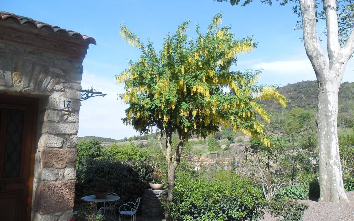 Photo of Others in Quintillan
