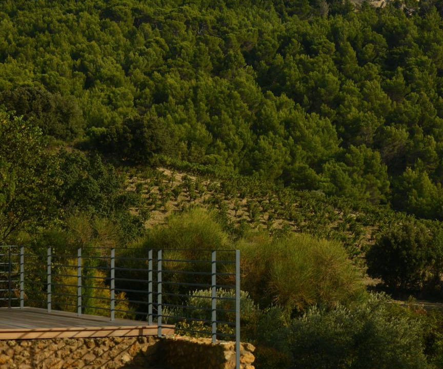 Photo of Others in Gigondas