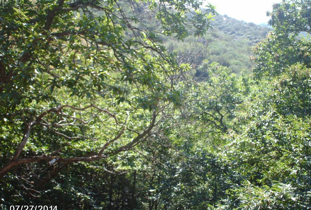 Photo of Outdoor in Montes de Valdueza