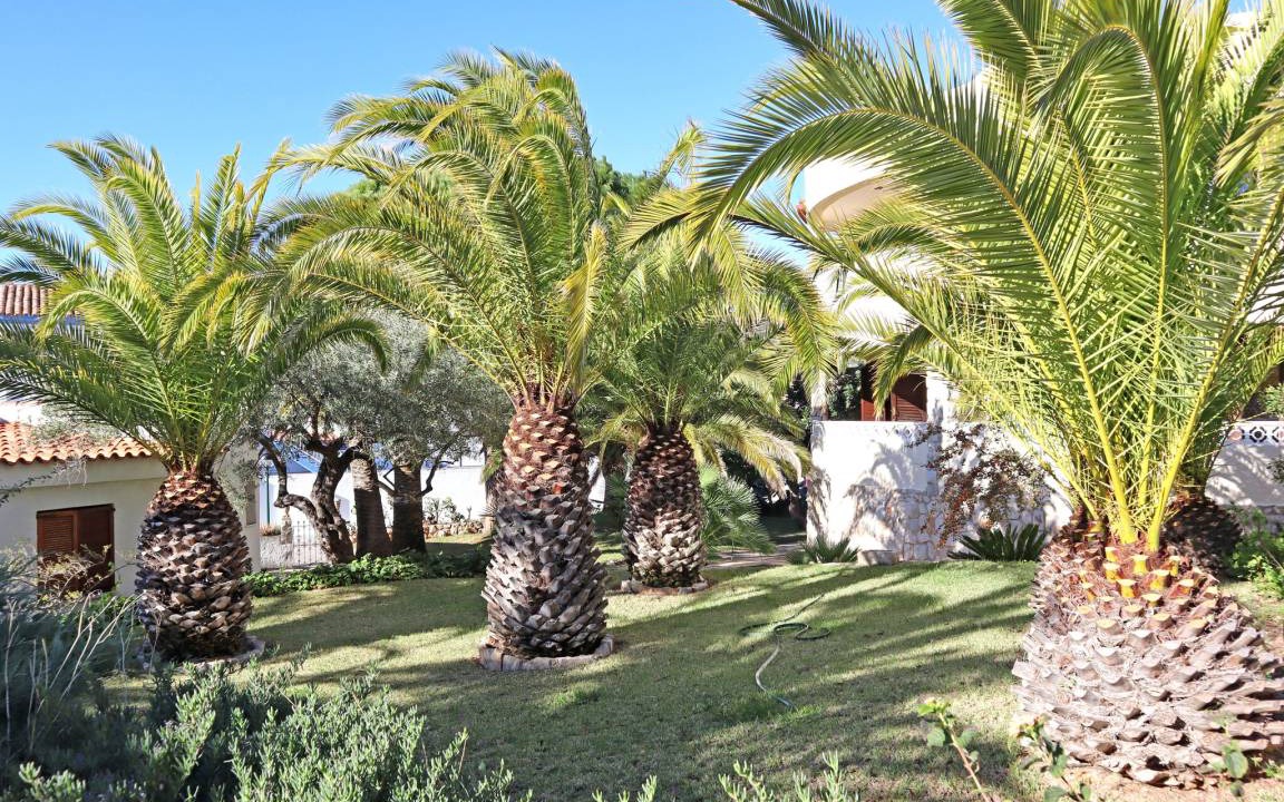 Photo of Others in Peniscola