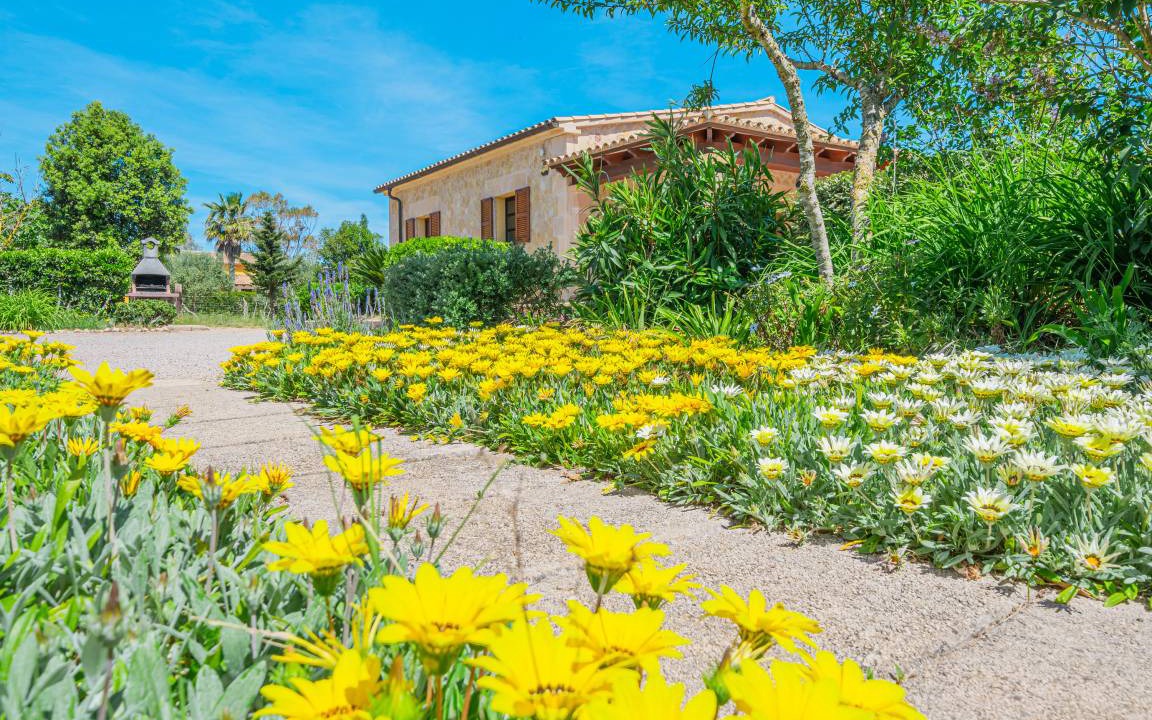 Photo of Others in Puerto de Pollensa