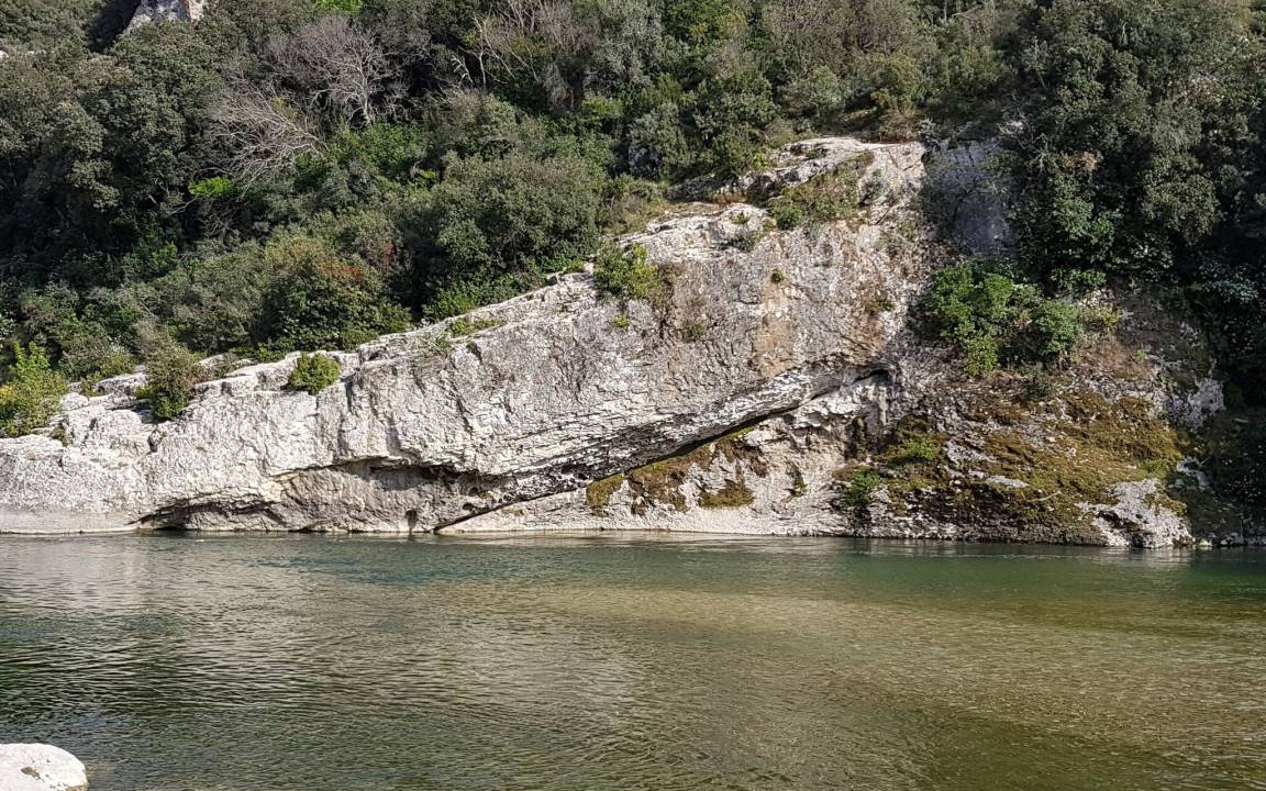 Photo of Others in Collias