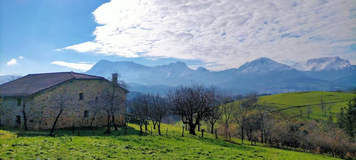 Photo of Others in Berriz