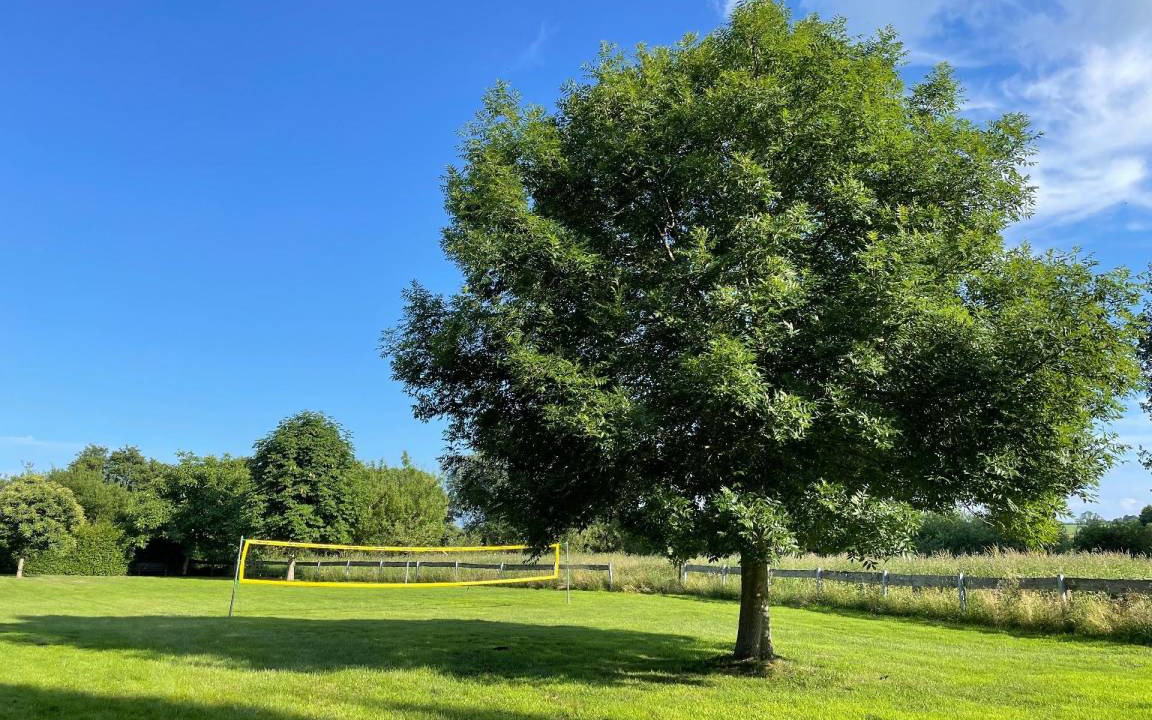Photo of Outdoor in Lancken-Granitz