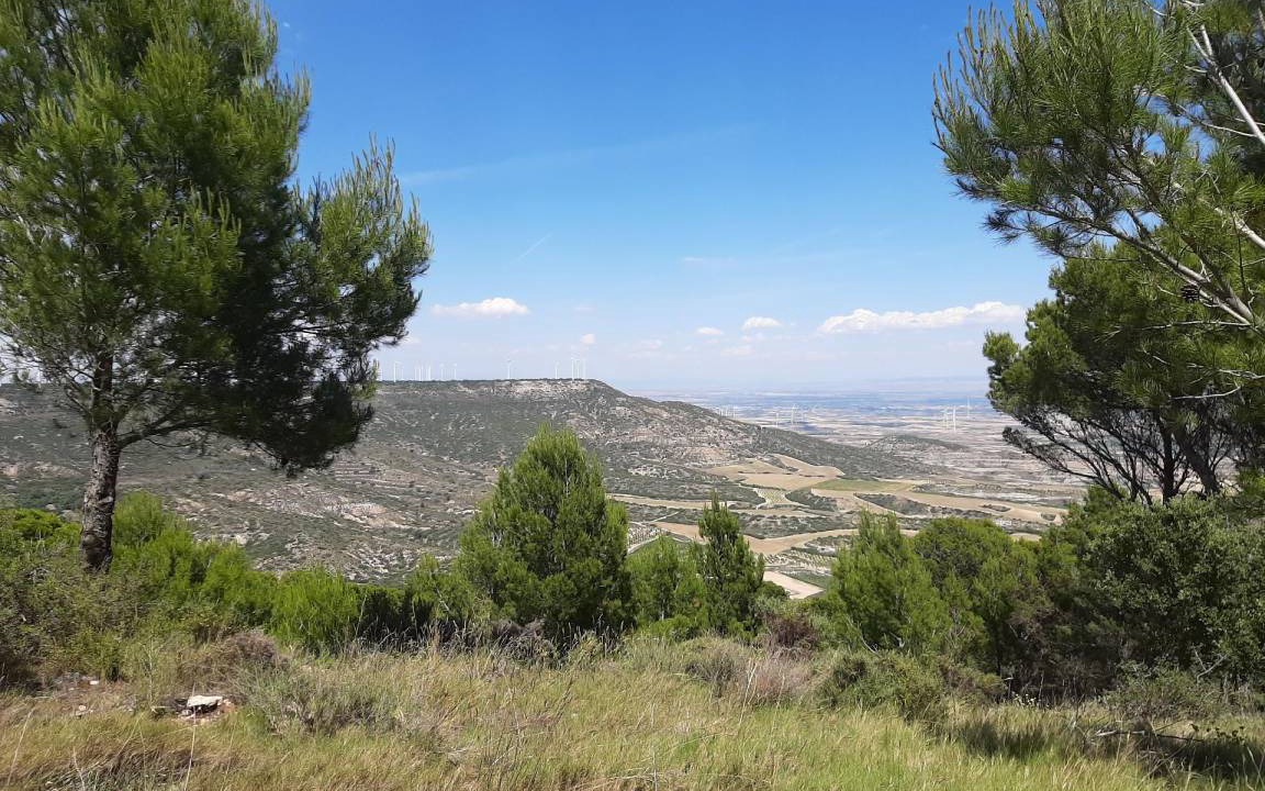 Photo of Outdoor in Borja