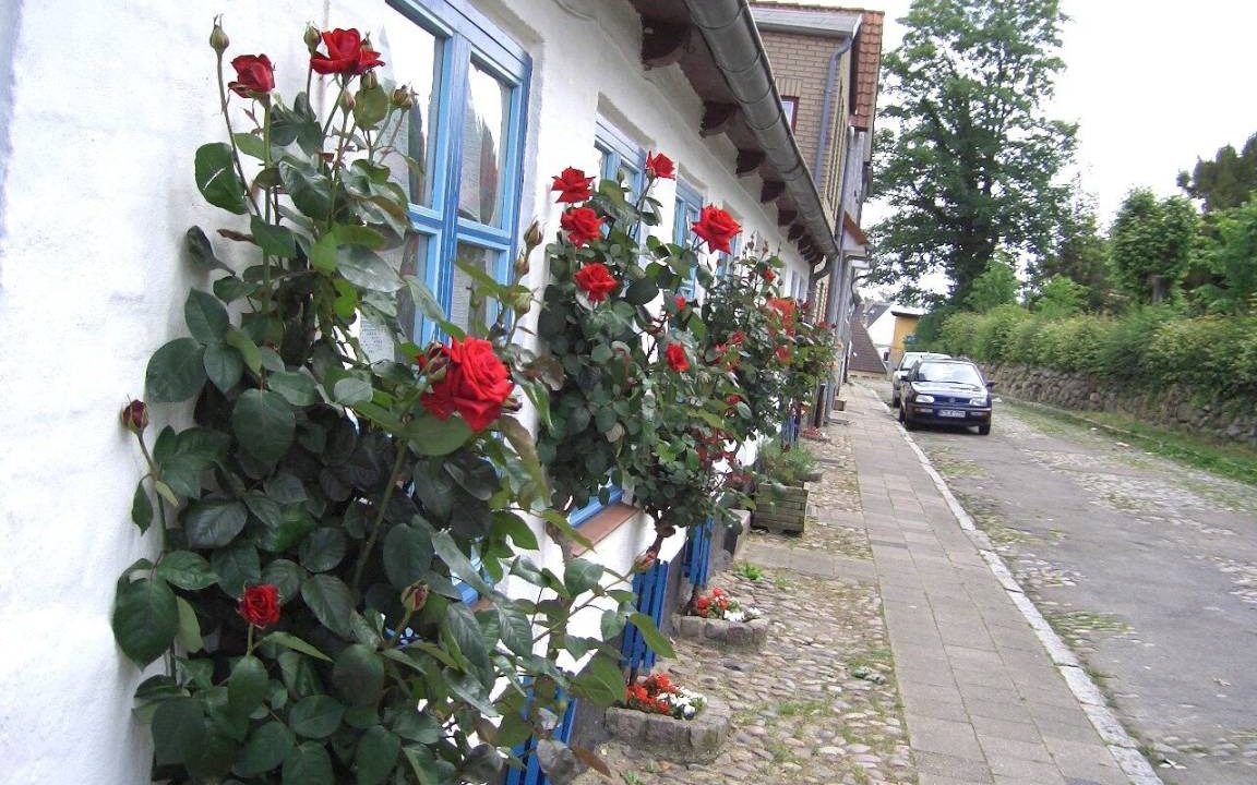Photo of Others in Schleswig