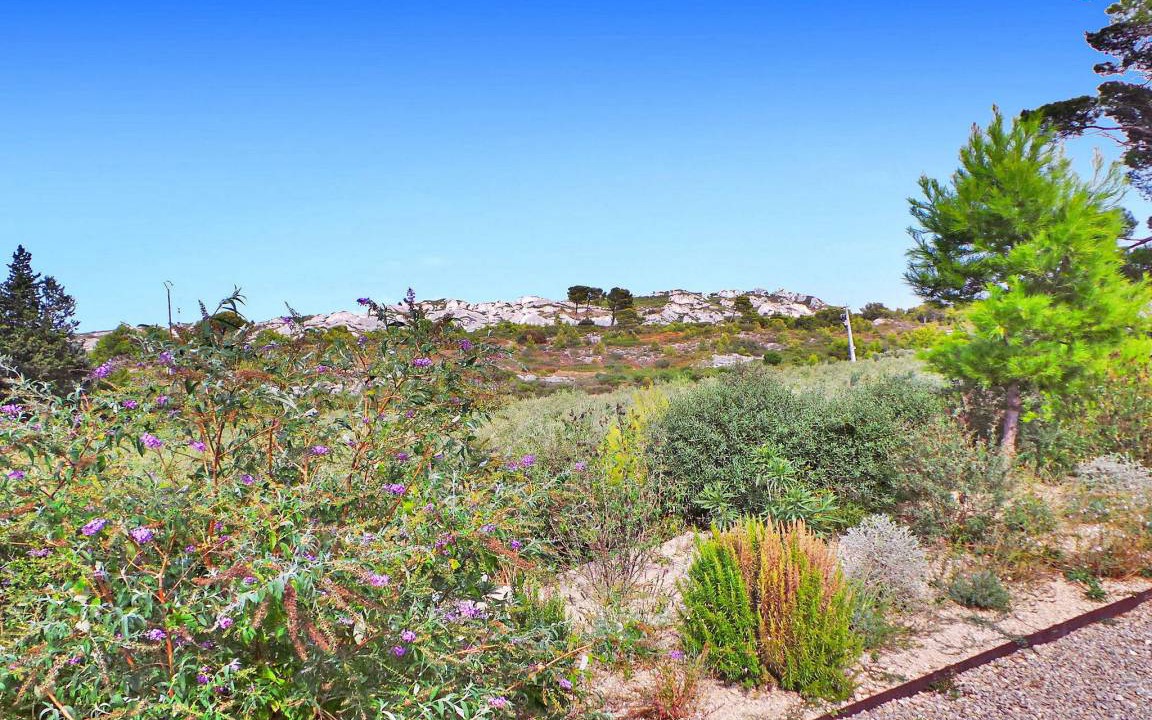 Photo of Others in Maussane-les-Alpilles