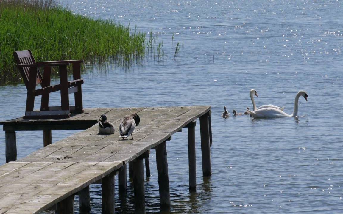 Photo of Others in Ostvorpommern