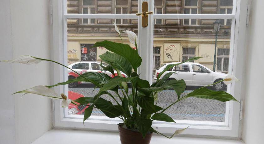 Photo of Others in Mala Strana