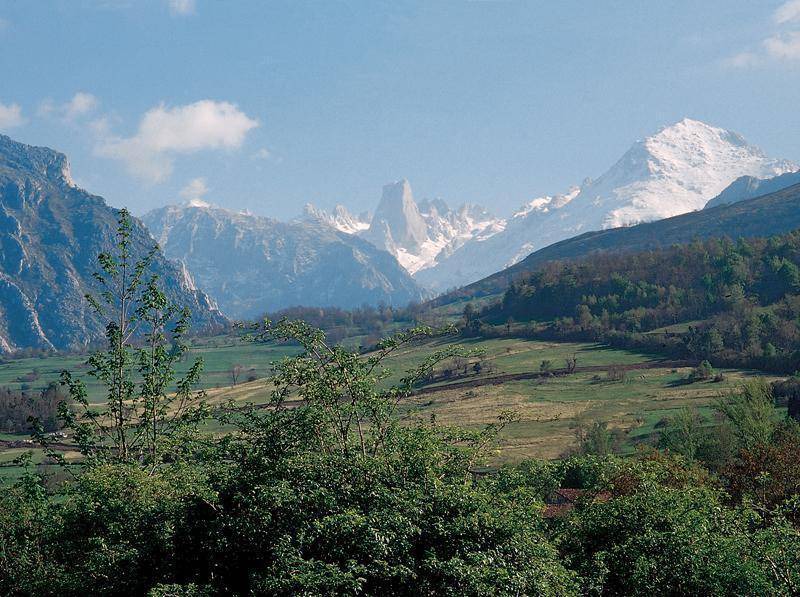 Photo of Others in Pruneda