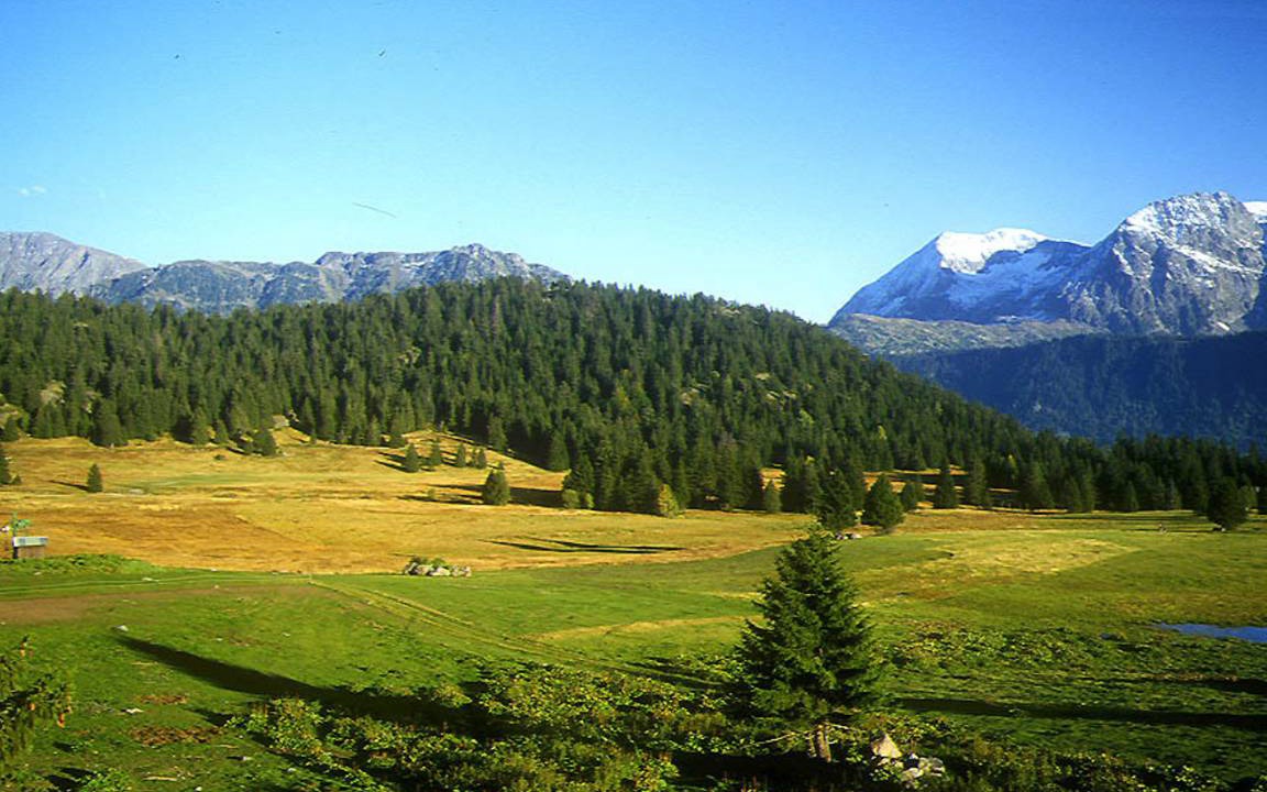 Photo of Others in Chamrousse