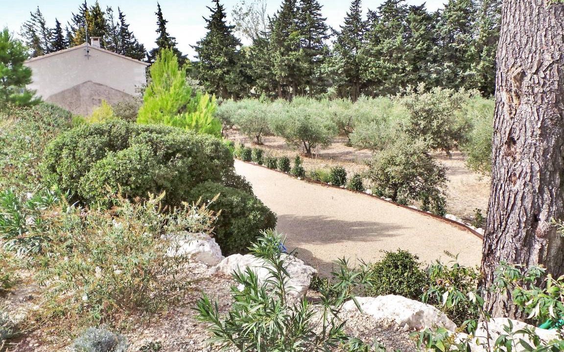 Photo of Others in Maussane-les-Alpilles