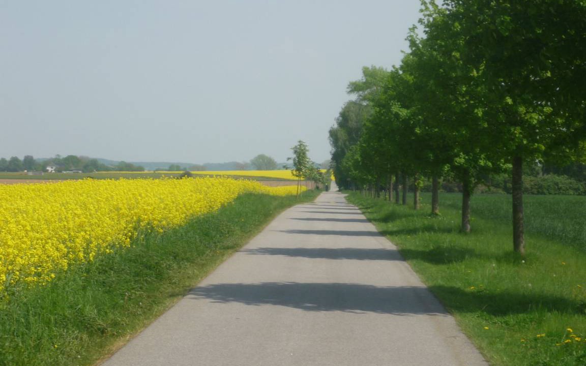 Photo of Others in Sauzin