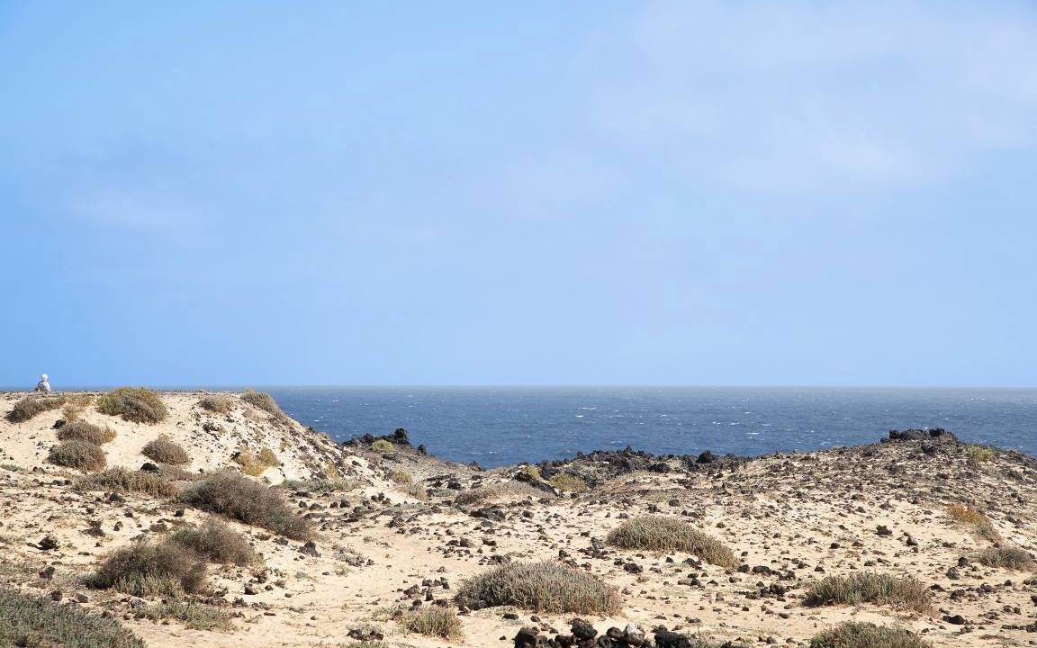 Photo of Others in Charco del Palo