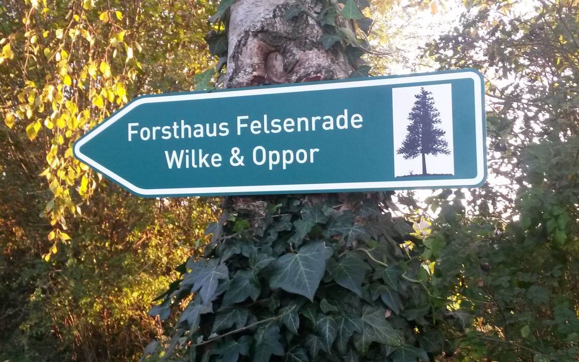 Photo of Others in Gross Wittensee