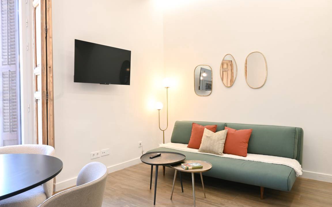 Photo of Livingroom in Embajadores