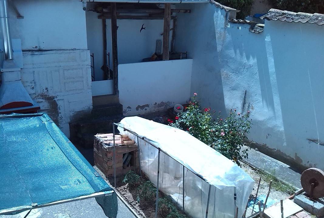 Photo of Others in Almazan