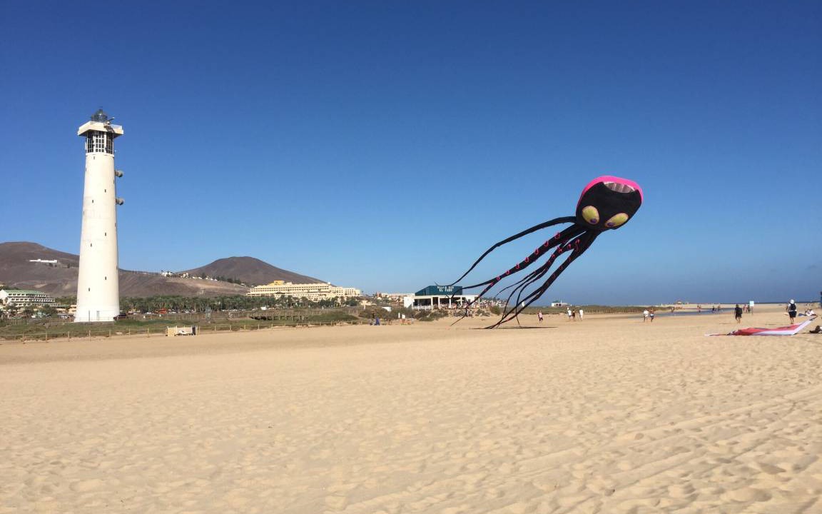 Photo of Others in Solana del Matorral