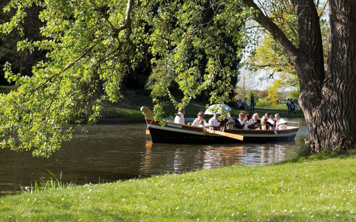 Photo of Others in Coswig