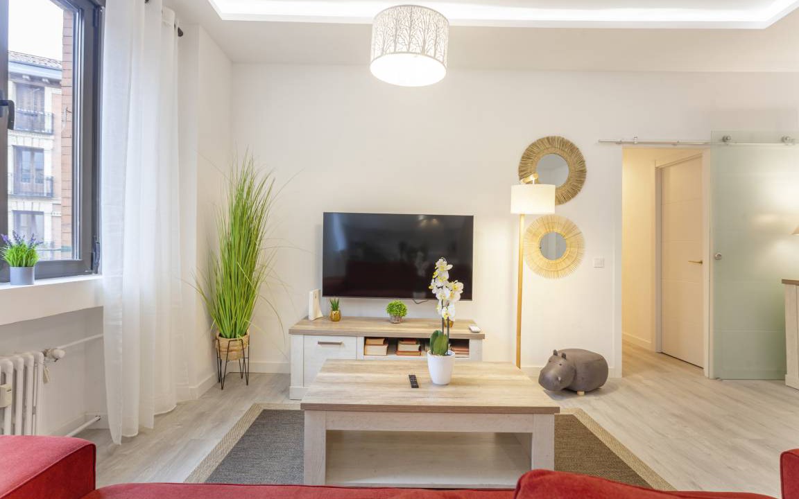 Photo of Livingroom in Embajadores