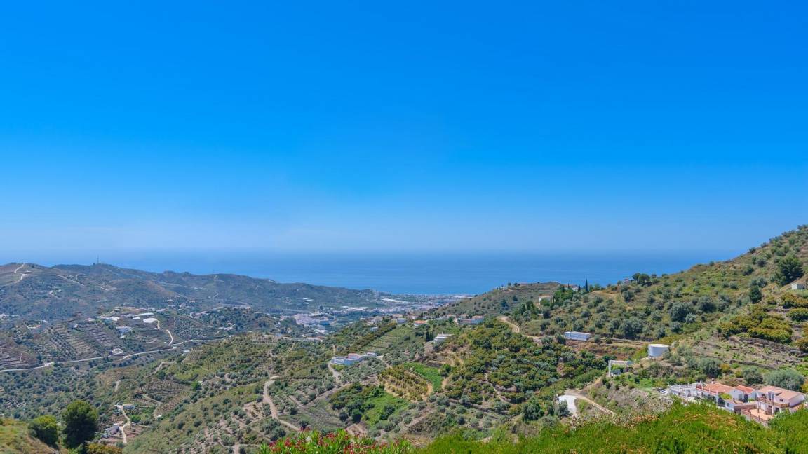 Photo of Others in Torrox