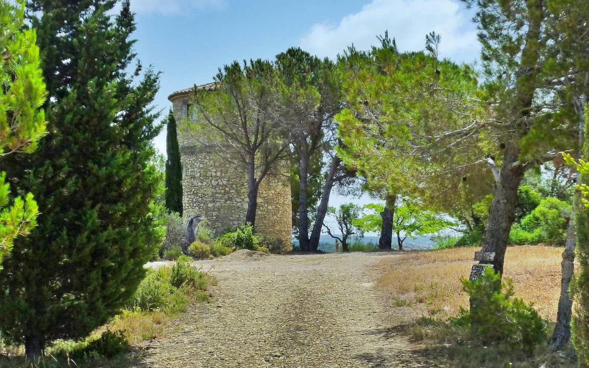 Photo of Others in Paradou