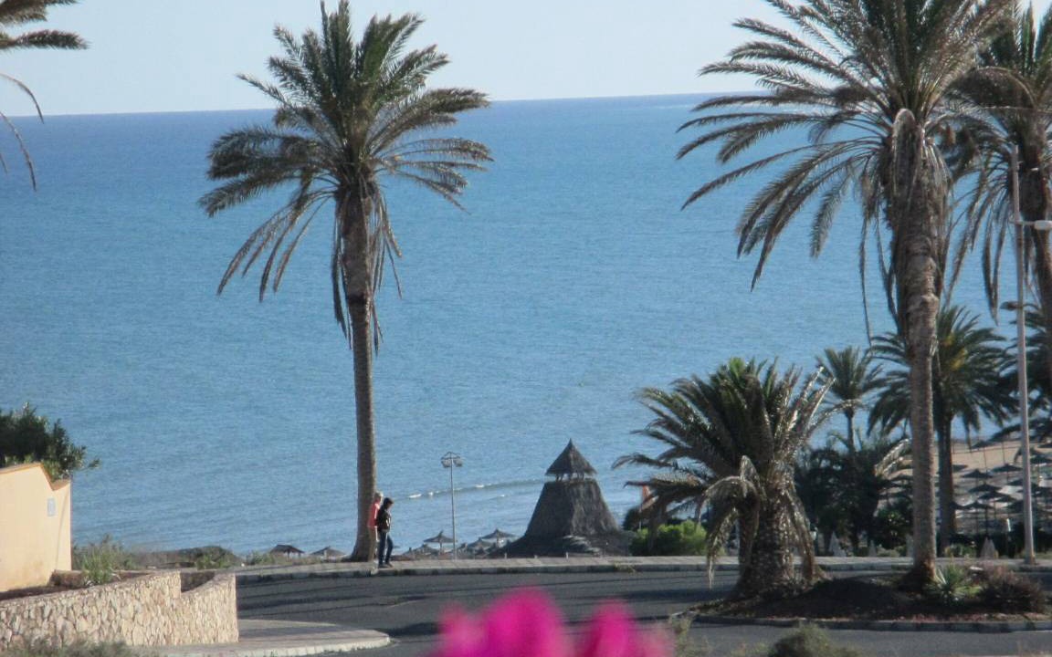 Photo of Others in Bahia Calma