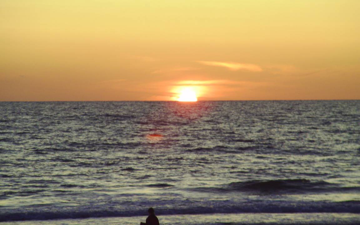 Photo of Others in Westerland
