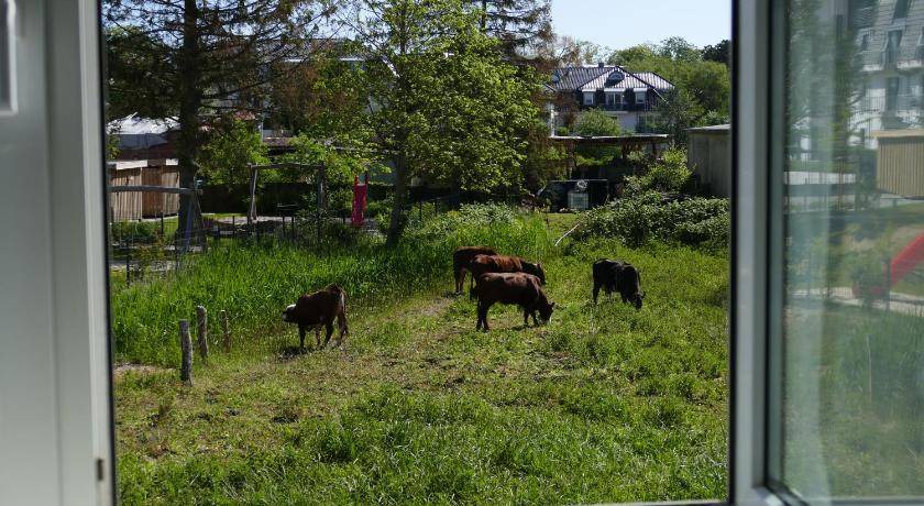 Photo of Others in Niendorf