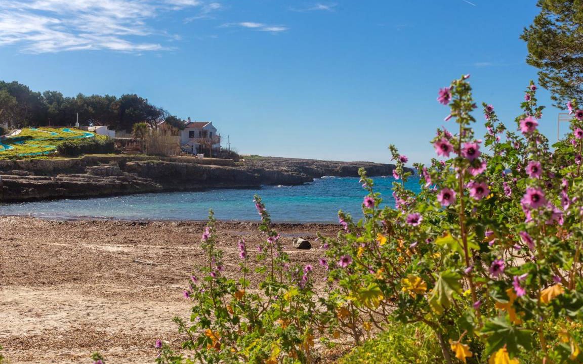 Photo of Others in Cala Blanca