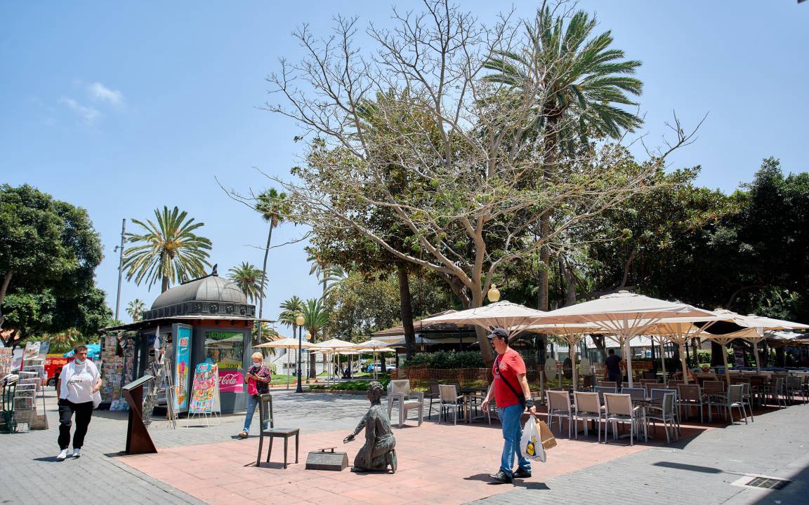 Photo of Others in Las Palmas de Gran Canaria