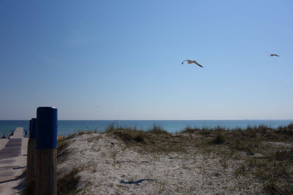 Photo of Others in Fehmarn