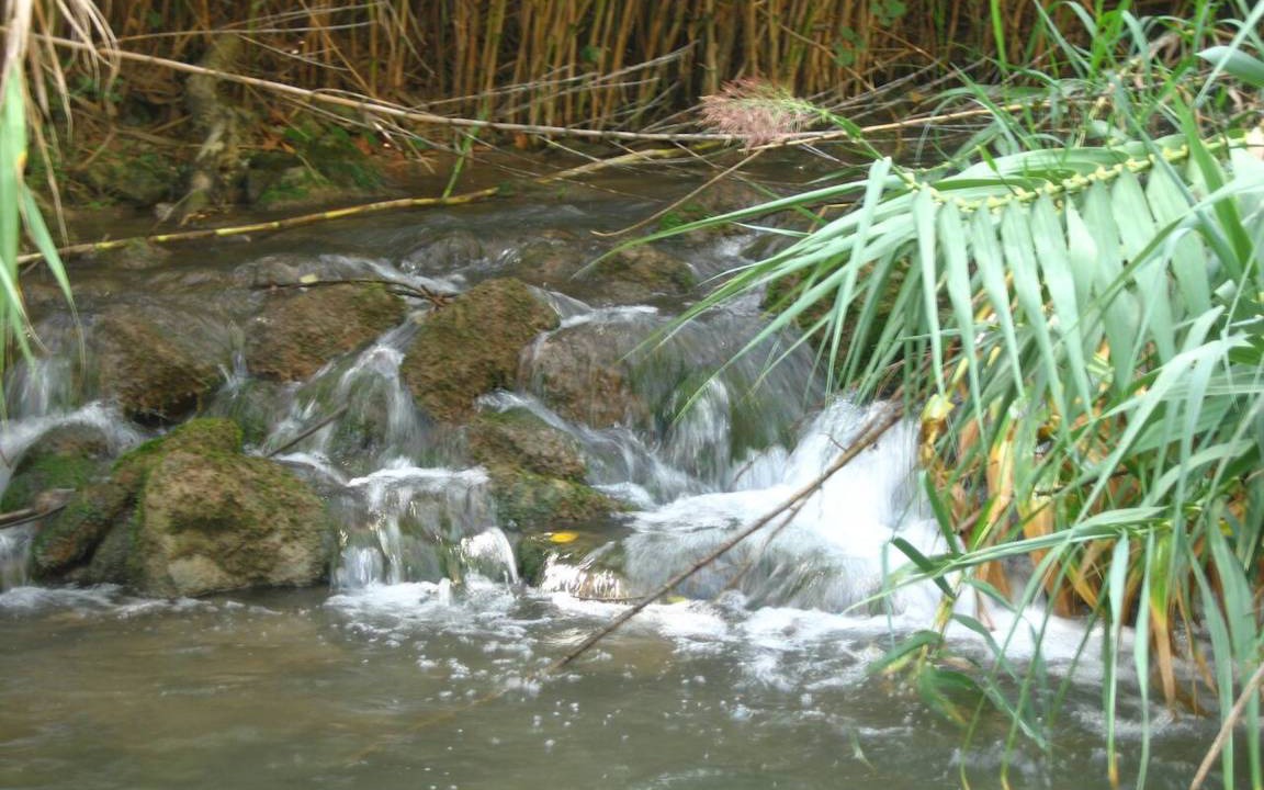 Photo of Others in Pedralba