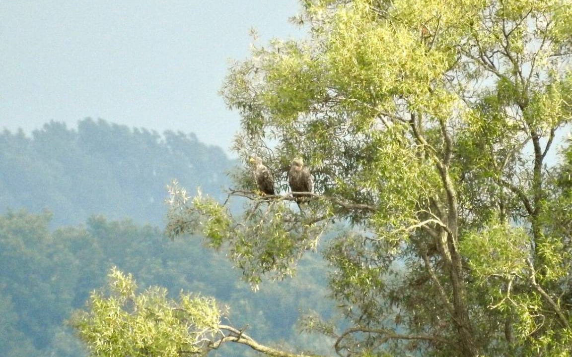 Photo of Others in Preetz